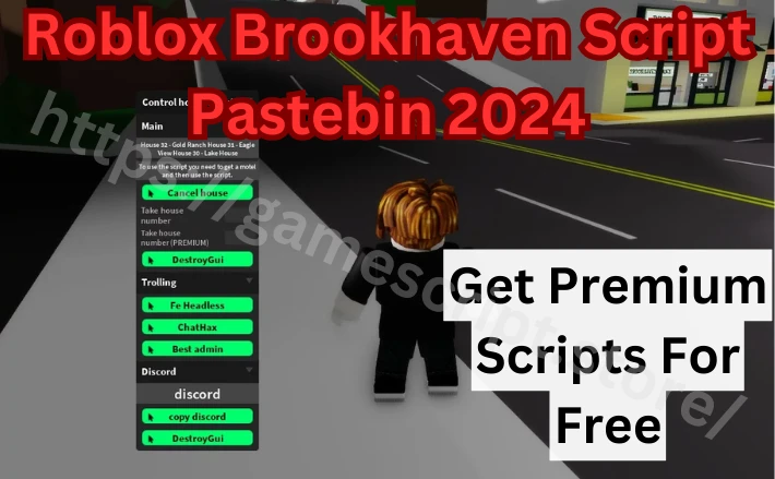 brookhaven script